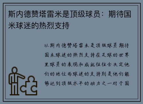 斯内德赞塔雷米是顶级球员：期待国米球迷的热烈支持