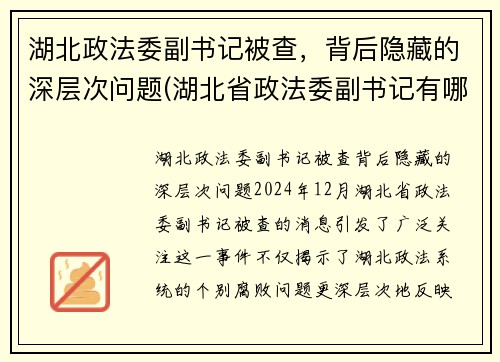 湖北政法委副书记被查，背后隐藏的深层次问题(湖北省政法委副书记有哪几位)